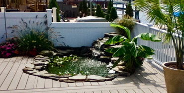 KOI PONDS, WATER FEATURES
